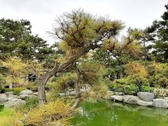 -中国唐苑