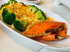 -蝶园·装修中(BFC外滩金融中心店)