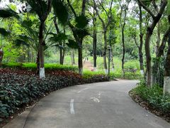 -燕晗山郊野公园