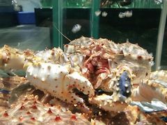 帝王蟹打边炉-新长福(星沙店)