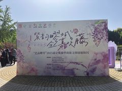 -嘉定紫藤园