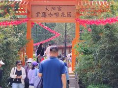 -太阳宫公园