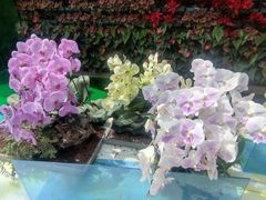 -石家庄市植物园