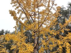 -坝河休闲公园