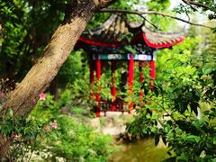 -南汇桃花村