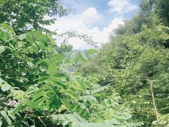 -藏龙百瀑风景区