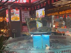 -魏铭鱼头捞饭(晋阳路店)