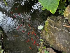 -南通洲际绿博园