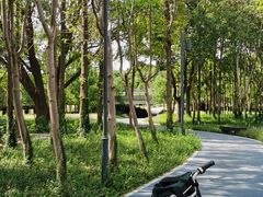 -昆山城市生态森林公园