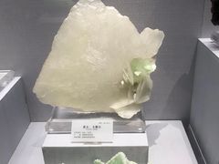 -湖南省地质博物馆