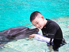 -新加坡水上探险乐园