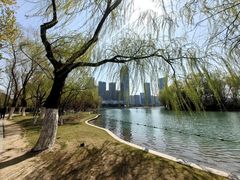 -天鹅湖体育公园