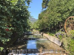 -广州白江湖森林公园