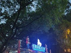 -广州长隆国际大马戏