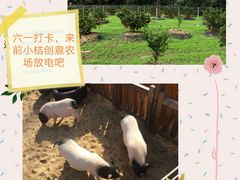 -前小桔亲子创意农场·草莓采摘·露营烧烤