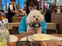 -一沙一城·岩烤牛扒(深圳首店)