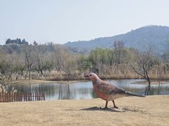 -南北湖风景区