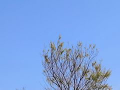 -雅达·阳羡溪山小镇中心