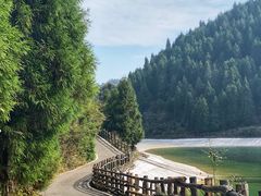 -武陵山森林公园