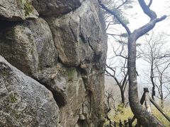 -王顺山国家森林公园