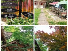 -宁波浙东大竹海景区