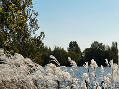 -野鸭湖国家湿地公园