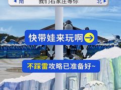 -石家庄极地海洋世界