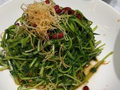 -青花椒花椒鱼(合生汇店)