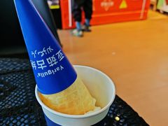 -萨朗刀克冰淇淋雪花凉(植物园店)