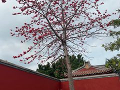 -揭阳学宫(榕城区)