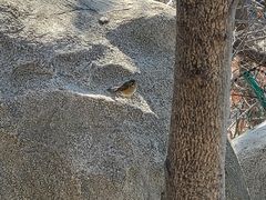 -崂山巨峰游览区
