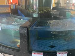 -小榄人家酒楼(民安店)