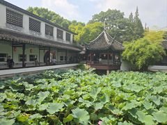 -上海醉白池公园