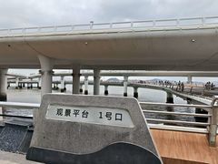 -演武大桥观景平台