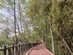 -罗家巷子休闲庄自助碳烤