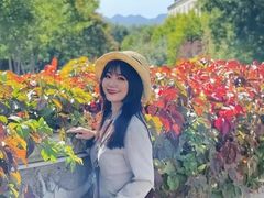 -北京张裕爱斐堡酒庄