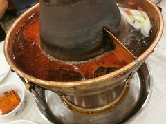 拍黄瓜-常赢三兄弟·清真涮肉·清真炒菜(朝阳新城店)