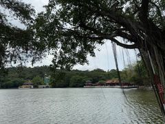 -珠海圆明新园
