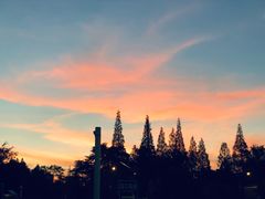 -南京维景国际大酒店(南京博物院店)