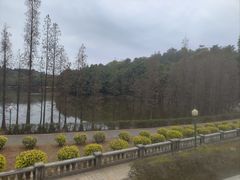 -三水森林公园