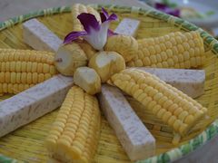 -墨脱石锅椰子鸡•香草鸭•东山羊(大东海店)