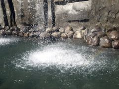 紫清湖生态旅游温泉度假区-南京汤山紫清湖生态旅游温泉度假区