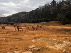 -杭州野生动物世界