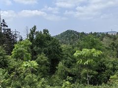 -青龙山国家森林公园