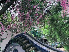 -深圳国际园林花卉博览园