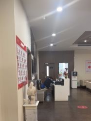 -上海玫瑰医疗美容医院