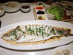 -船歌·鱼水饺青岛菜(金狮广场店)