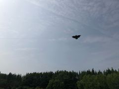 -汇泉广场