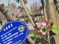 -元大都城垣遗址公园