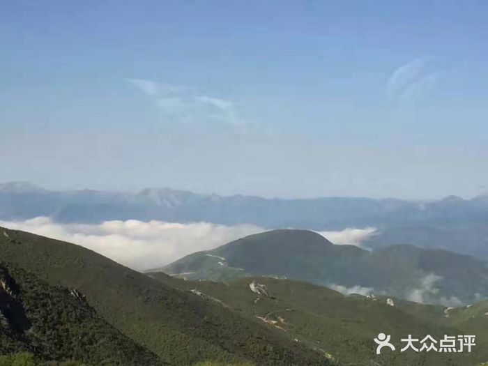 黃龍山原始森林景區-圖片-黃龍縣周邊遊-大眾點評網